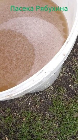 ПОДГОТОВКА_НУКЛЕУСОВ_К_ЗАСЕЛЕНИЮ_ПЧЁЛ.