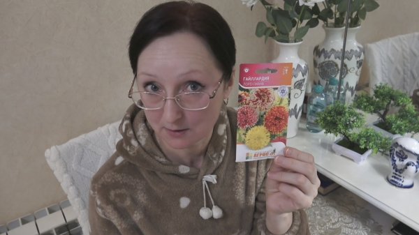 Февраль 2026 Морковь Аленка. Огурец Восточный экспресс. и др семена. Сею Виолу пророщенными семенами