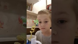 VID_20260212_074548.mp4