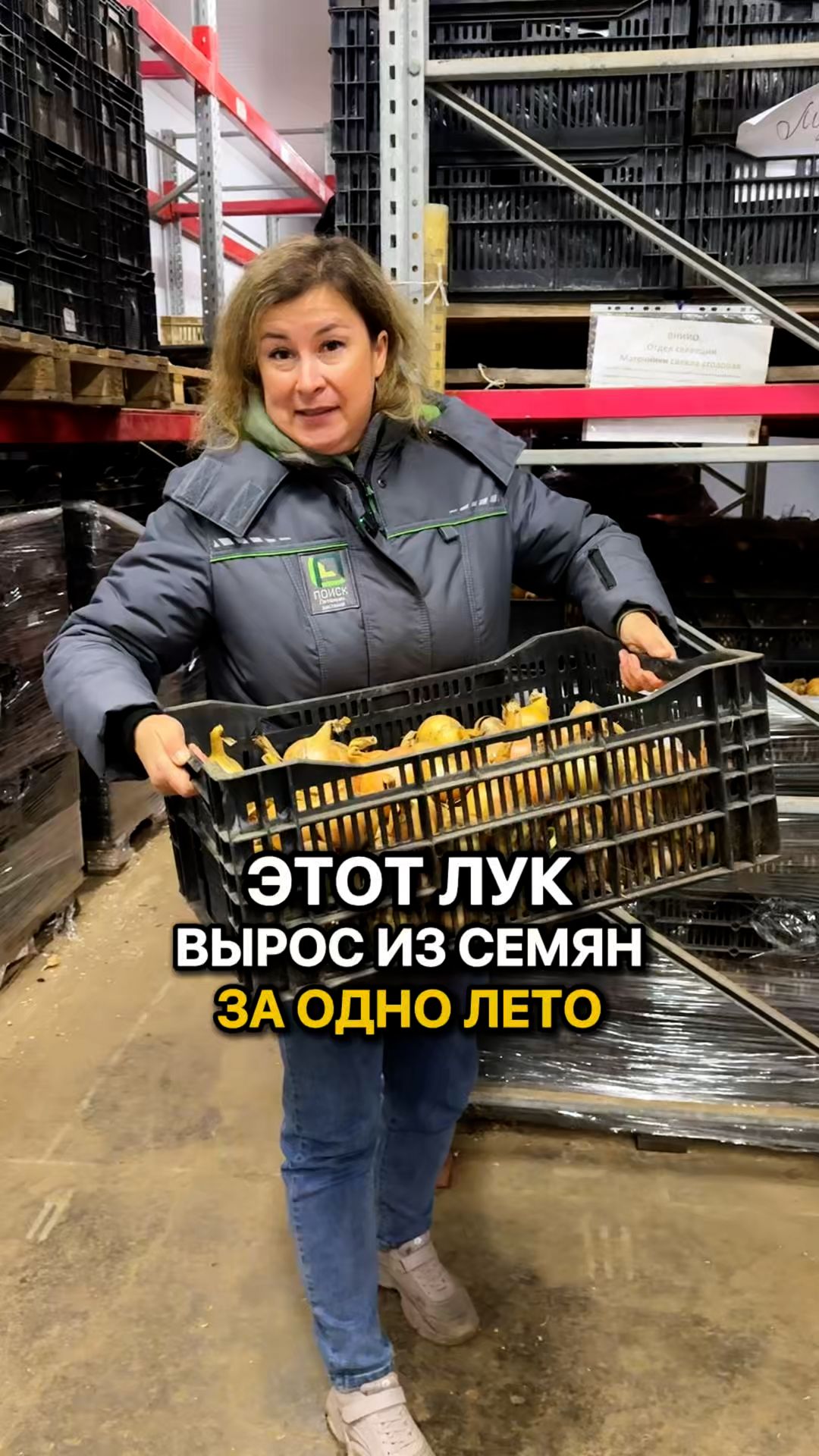 Лук из семян ЗА ОДНО ЛЕТО!