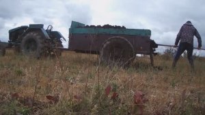 МИНИТРАКТОР ДИЗЕЛЬ Вывоз навоза