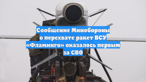 Сообщение Минобороны о перехвате ракет ВСУ «Фламинго» оказалось первым за СВО
