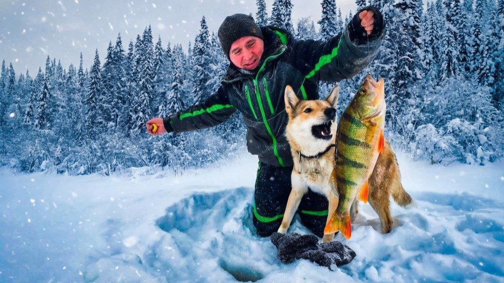 Рыбалка на озере. Попали на раздачу окуня! смотреть онлайн