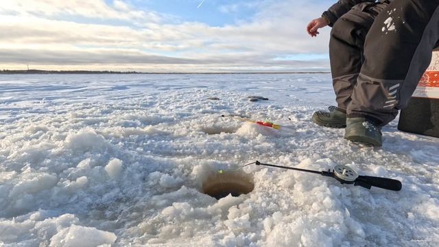 ЕЛЕЦ ПОДОШЁЛ. Рыбалка удалась. смотреть онлайн