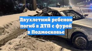 Двухлетний ребенок погиб в ДТП с фурой в Подмосковье