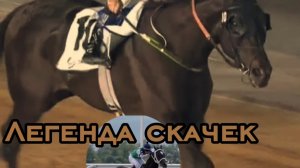 Трейлер фильма"Легенда скачек"