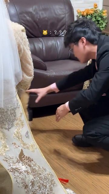 Он ждал момента 🤣