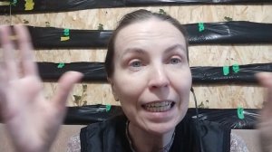 Бегите лечить психику. Где тонко, там и рвется