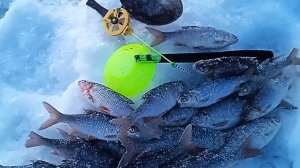 Безмотылка выручила хвала богам скромно но со вкусом.