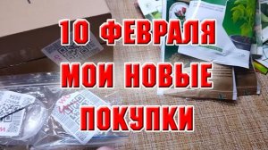 10 февраля. Мои новые покупки