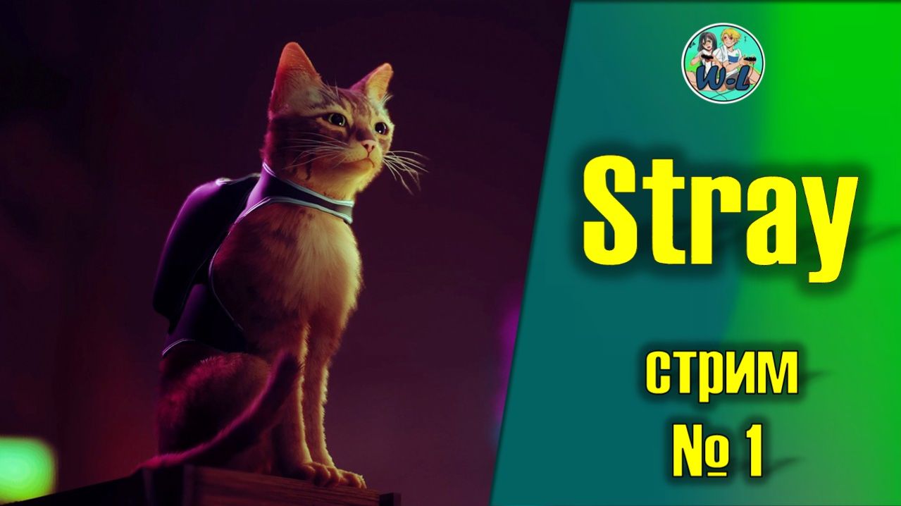 Stray смотреть онлайн