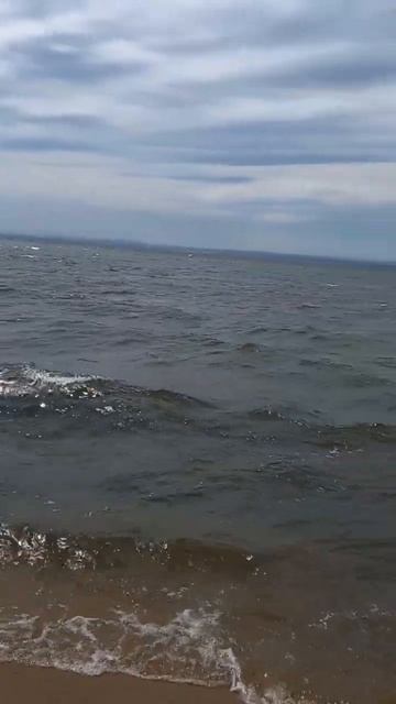 Чита! смотреть онлайн