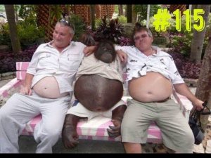 Смешные животные / Смешные коты / Собаки / Залипательное видео #115