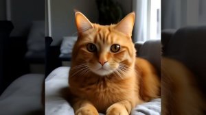 Blanku x NVRLUV - Miracle