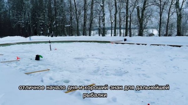 Запуск форели в лесной пруд 12.02.26