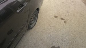 Купил 2 шины для машины CORDIANT RUN TOUR. Был ли у кого опыт езды на такой резине?