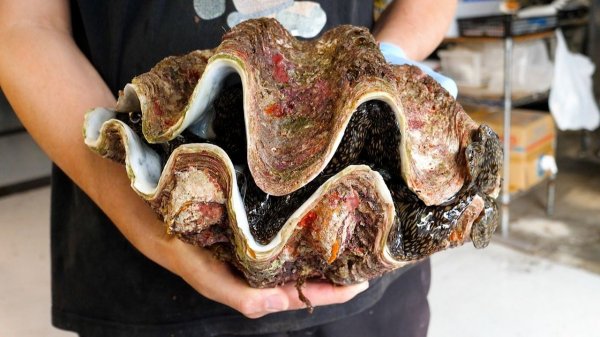 10-килограммовый моллюск  Рыбный рынок Окинава