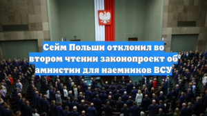 Сейм отправил на третье чтение закон о амнистии для поляков-участников ВСУ