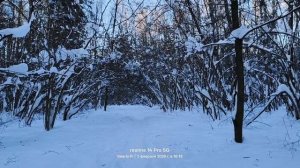 Прогулка #39 ❄️🌲❄️🌲❄️🌲❄️ 09.02.2026