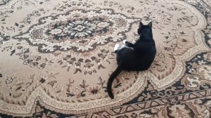 Рассказ - "Везучая"