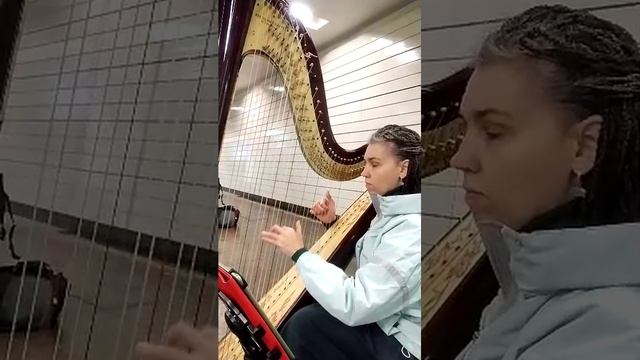 Арфа в метро. Новокосино 12.02.2026