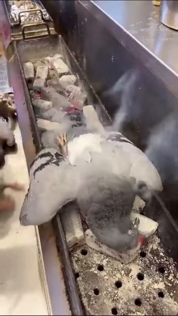 С добрым утром, пакистанцы уже успели позавтракать.