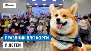 Пушистые реабилитологи Луганска: как корги помогают местным жителям