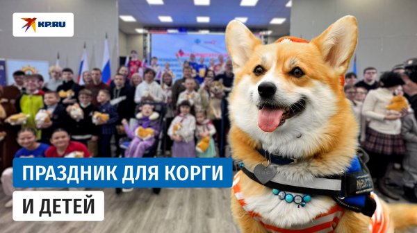 Пушистые реабилитологи Луганска: как корги помогают местным жителям