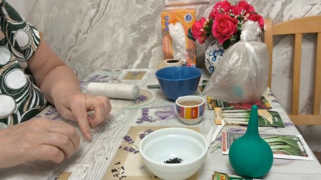 Сею лук порей в улитку. смотреть онлайн