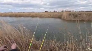 Тут карась жирует весна 2025 рыбалка на удочку в канале