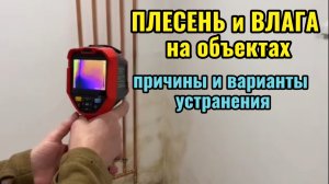 Плесень и влага на объектах. Причины и варианты устранения