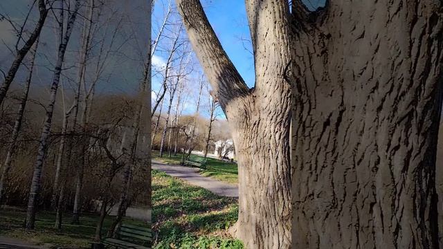 1000211862.mp4 смотреть онлайн