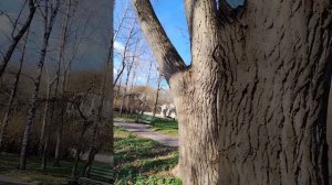 Прогулка ранним утром в парке Ессентуков ✨