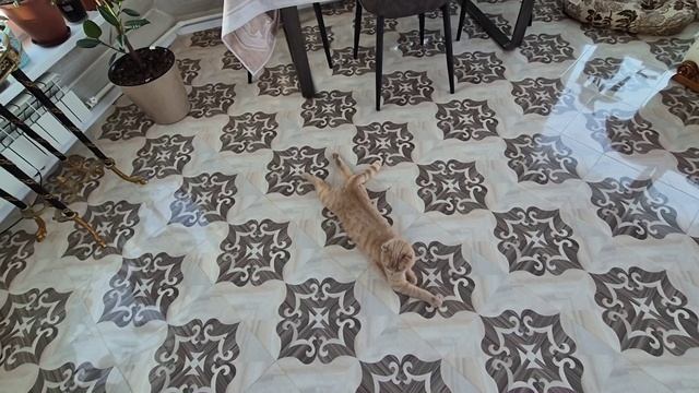 ПОМЕНЯЛА ТЮЛЬ В ЗАЛЕ.КАКАЯ ТЕПЕРЬ КРАСОТА! смотреть онлайн