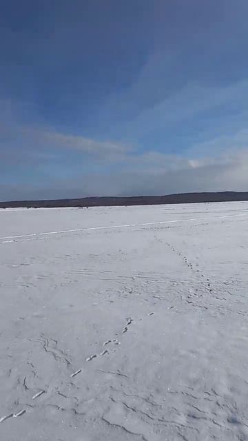 чита смотреть онлайн