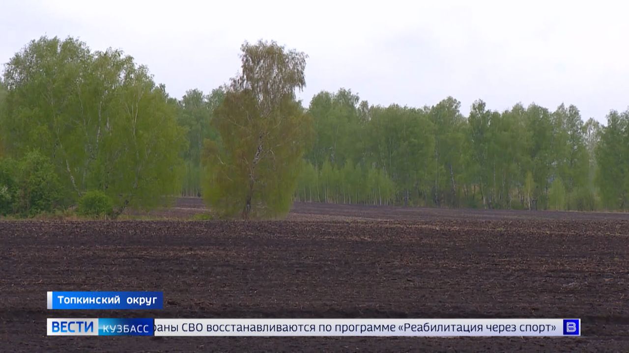 В Кузбассе обсудили планы на предстоящую посевную смотреть онлайн