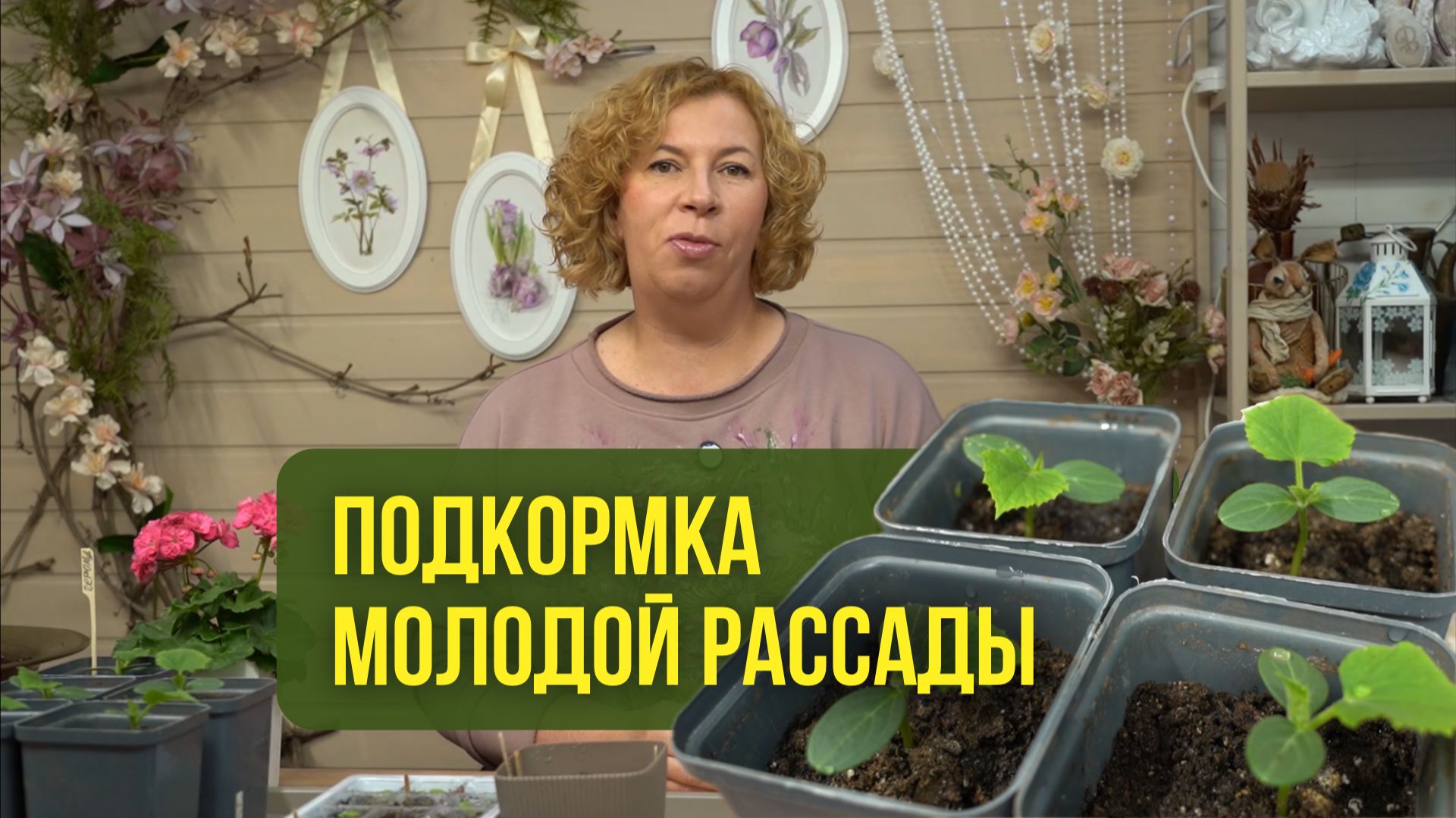 Чем подкармливать молодую рассаду? смотреть онлайн