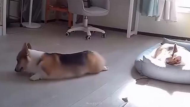 Я и моя энергичность