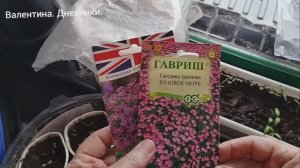 Первые посевы , первые всходы и разочарования. 12.02.2026