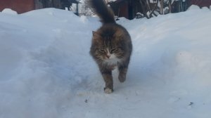 Главный Ресурс 1.8 Один день.