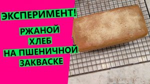 ЗАЧЕМ ДЕРЖАТЬ 2 ЗАКВАСКИ, если можно одну? Проверяем теорию!