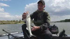 ПОЙМАЛ РЫБУ, КОТОРАЯ ЛОМАЛА КРЮЧКИ МЕСТНЫМ РЫБАКАМ! Рыбалка на дальних берегах