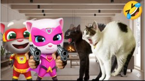 Смешные видео про кошек и собак Лучшие смешные видео про животных 2