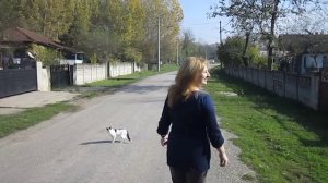 Дюзджэ нанэ ц1ык1ухэр 2014 илъэс