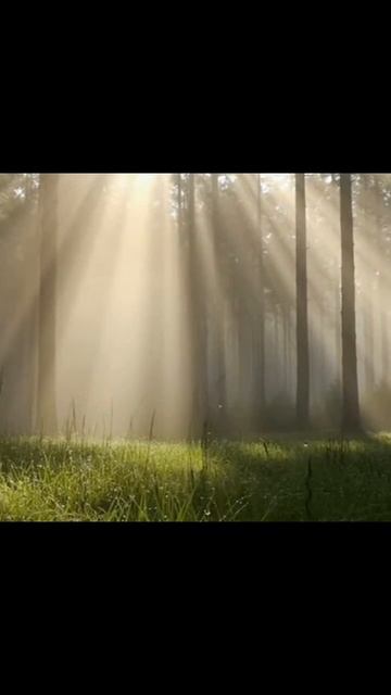 #природа #зеленаяпланета #биосфера #приключения