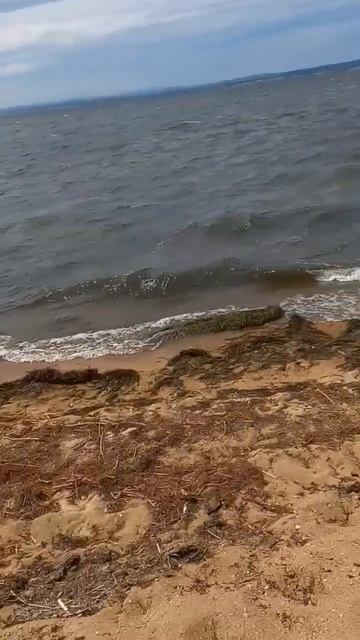 озеро Иван! смотреть онлайн