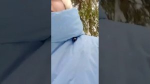 Ух , как нагулялись)