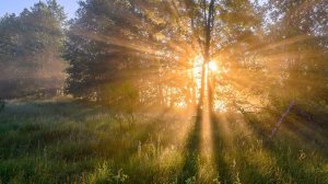 ПЛАТНЫЙ КАНАЛ   - приглашаю !!!