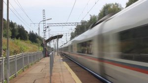 Сапсан проследует станцию Сенеж