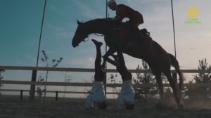 Джигитовка. Анонс. Канал В мире животных